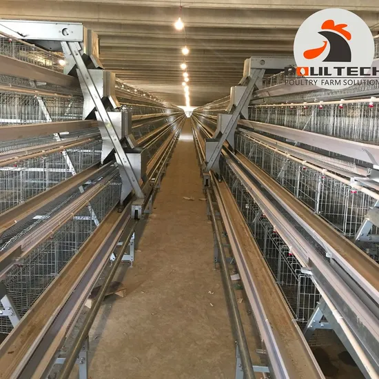 Battery Laying Hens Cage and Poultry Automatic Equipment Good Price