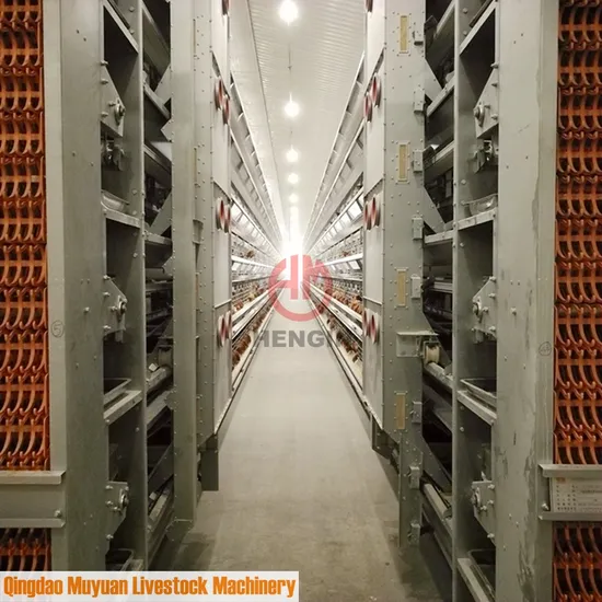 Poultry Farm Layer Cages for Chicken Shed House