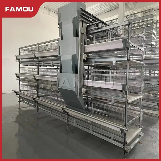 Famou Poultry Feeding Equipment Height Adjustable H Type Poultry Auger Feeding System