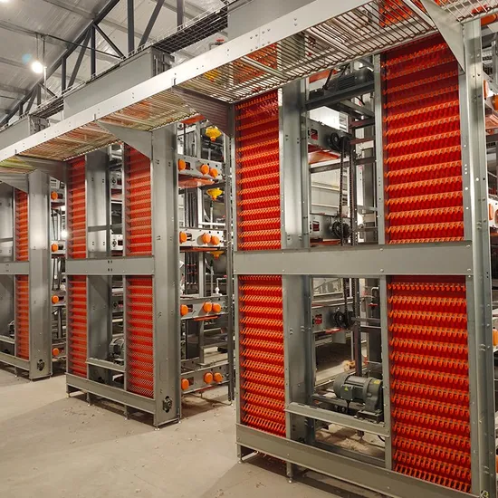 Modern Automatic Chicken Farming Equipment H Type Poultry