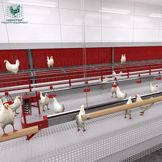 Hot Sale Full Automatic Broiler Breader Chain Pan Feeding Drinking System For Poultry Farming