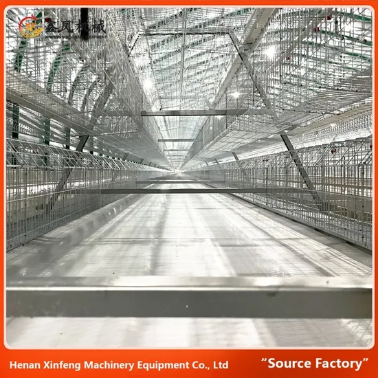 Wholesale High Quality Chicken Cage a Type Best Price Poultry Farm