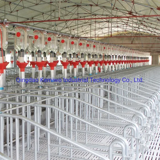 Factory Wholesale Pig Farming Equipment Individual Sow Pen Gestation Crate for Sale