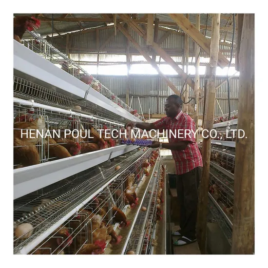 Poultry Farm Battery Chicken Layer Cage Sale for Farm