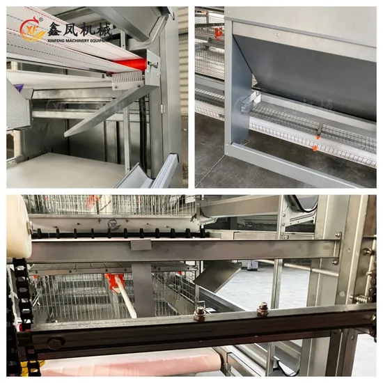 20000 Chickens Poultry Farming Automatic Chicken Coop Battery Cage Chickens Cage