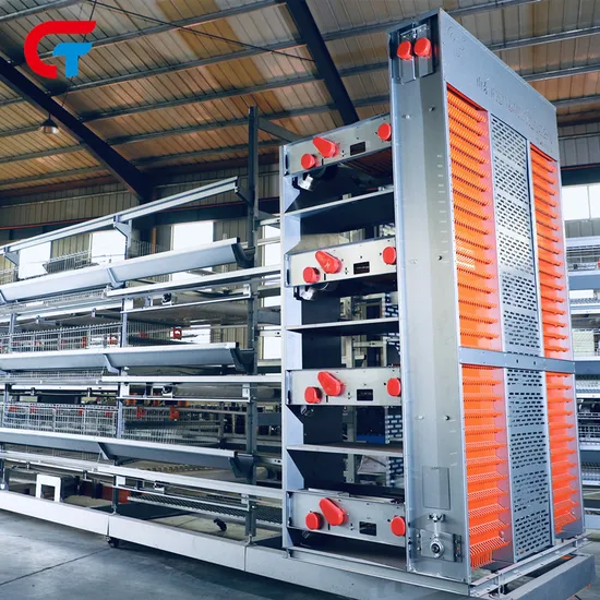 Good Price New Designed Automatic Farming Poultry Equipment Chicken Cages
