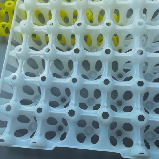 Reliable Plastic Egg Trays for Simple Transportation and Incubation