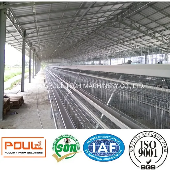 Poultry Cage for Egg Laying Hens