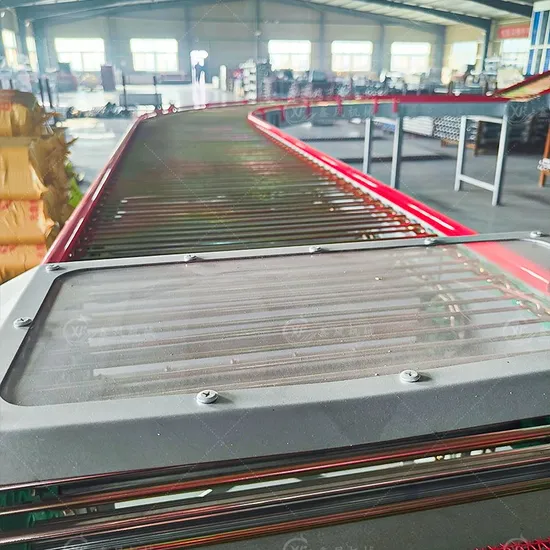 Automatic Chicken Cages Egg Layer Battery a Type Cage