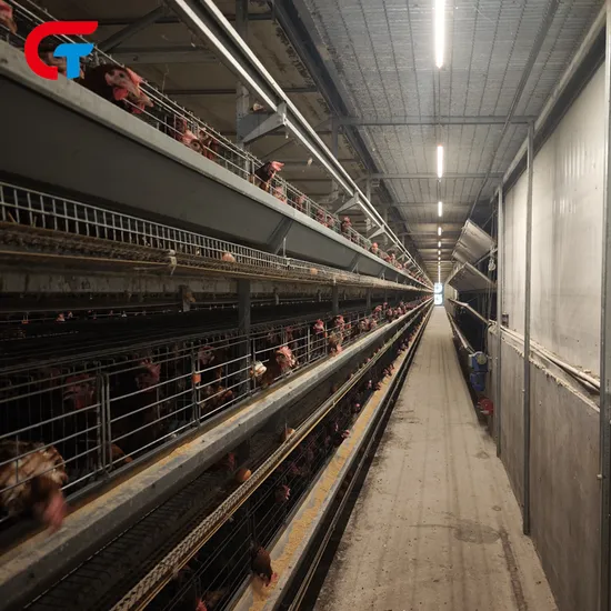 Hot Selling Automatic Farming Poultry Equipment Nigeria Chicken Cage