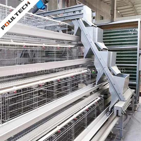High Quality a Type Automatic Battery Layer Chicken Cage for Poultry Farm Automated Poultry Solution