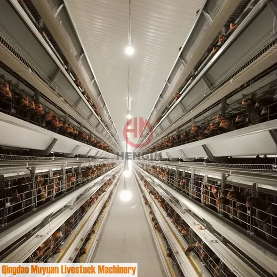 Chicken Layer Cage Livestock Machinery for Ghana Poultry Farm