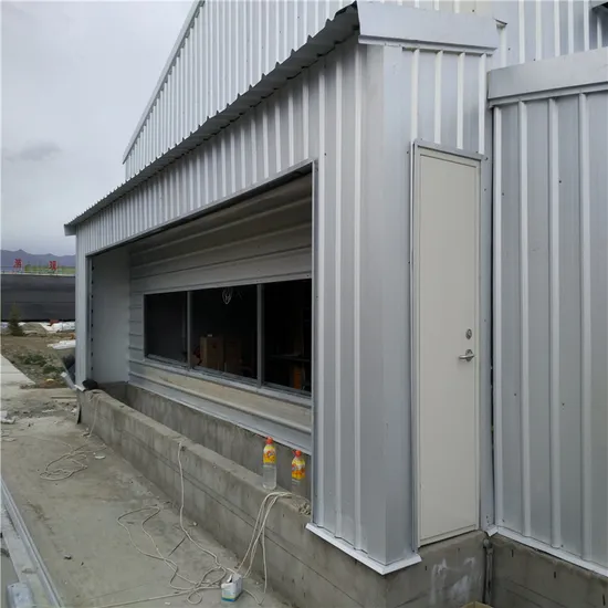 High Tech Modern Full-Automatic Steel Poultry Farm Equipment (BYPH-2022120701)