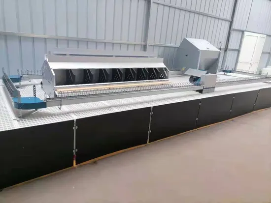 High Quality Good Price Automatic Layer Chicken Farm