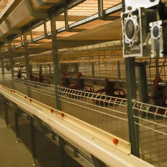 Wholesale Custom Livestock Machinery Poultry Drinking Line H Type Broiler Poultry Cage Battery Cage