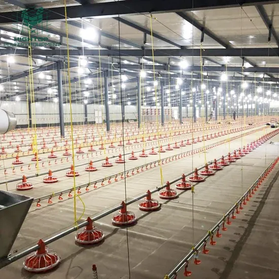 Poultry Automatic Broiler Breeder Chain Pan Feeding Line System For Broilers