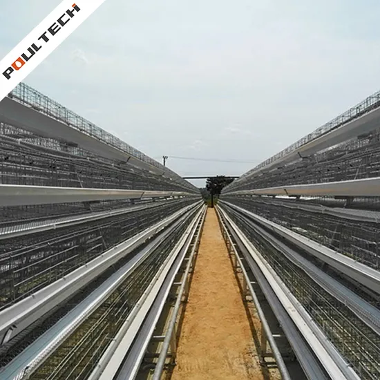 New Designed Poultry Farm Equipment Battery Layer Cage on Sale