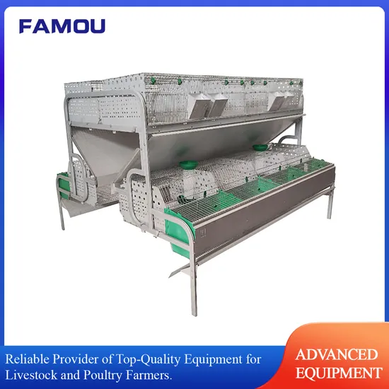 Sst304 Wire Rabbit Cages with Integrated Waterer for Intensive Farming