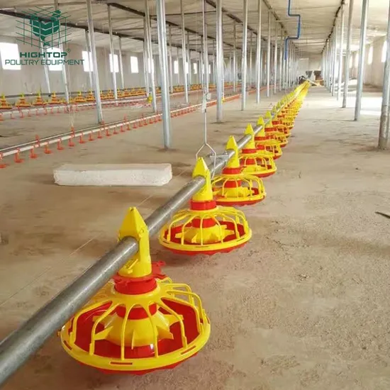 Floor Feeding System Automatic Raising Equipment For Poultry House For Chicken Broiler Farm Ground