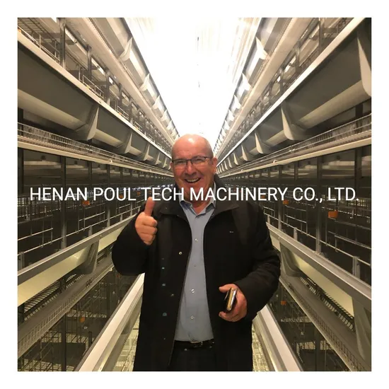 Automatic Poultry Chicken Battery Layer Cage System for Sale