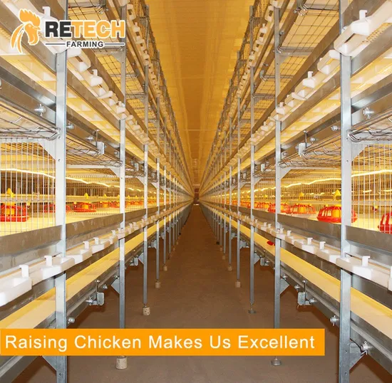 High Quality Automatic Broiler Chicken Battery Cage
