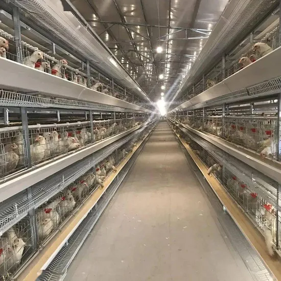 Durable 4-Layer H-Layer Layer Automatic Hot-DIP Galvanized Layer Cage (310-350mm deep)
