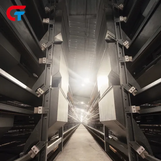 Save Labors Model H Type Layered Battery Automatic Modern Laying Chicken Cages