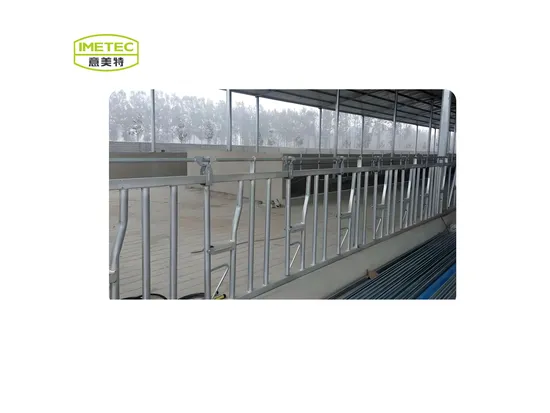 Hot-Dipped Galvanized Single Row Cattle Free Stall