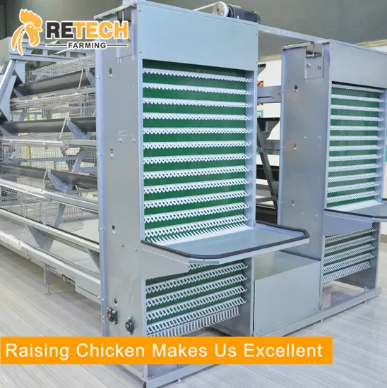 Poultry Feeding System China Supplier Automatic Chicken Cage