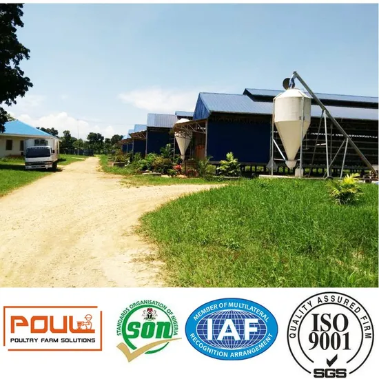 Poul Tech/Automatic Poultry Layer Cage Equipment