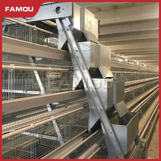 Famou Poultry Equipment Automatic Adjustment Ladder Type Farm Automatic Feeding System