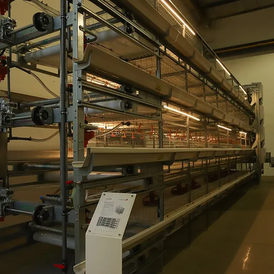 China Chicken Farm Equipment Automatic Chicken Battery Cheap Poultry Farm Equipment Chicken Cage