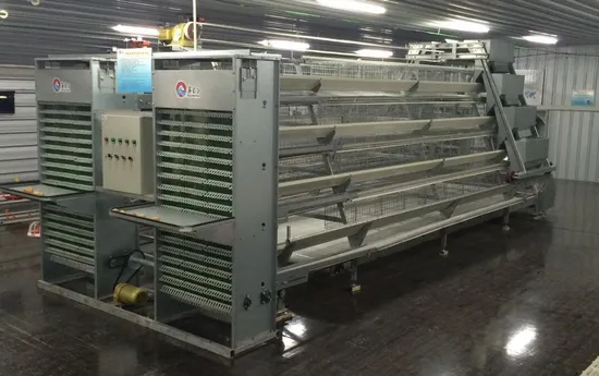Full Automatic Egg Chicken Equipment with Cages