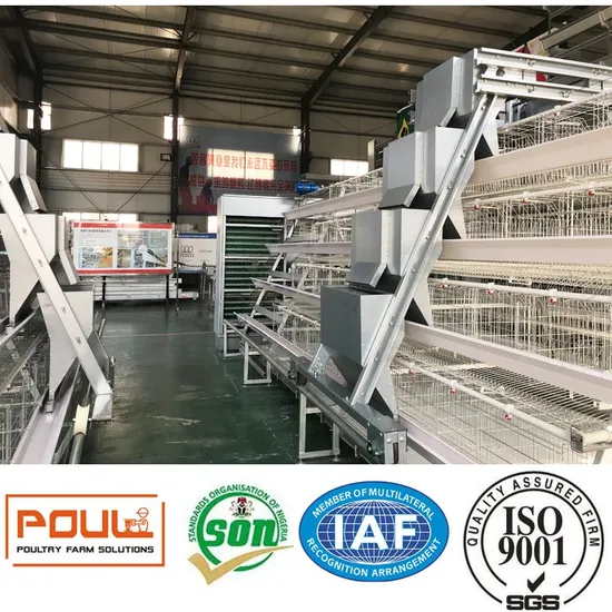 Poultry Facility Layer Farm Chicken Cage