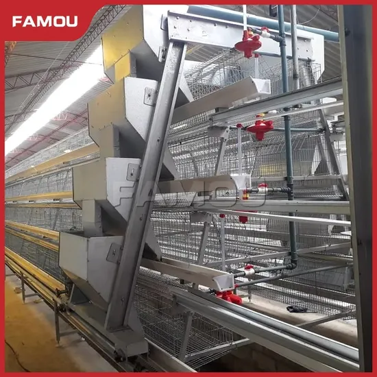 Famou Automatic Poultry Equipment Compact Design Ladder Type Automated Poultry Feeding System