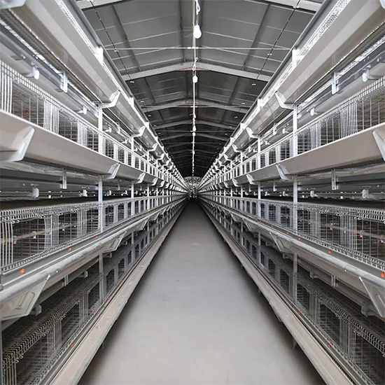 American Indian Farm Poultry Farm Automatic Hot-DIP Galvanized Steel Poultry Equipment Broiler Cage