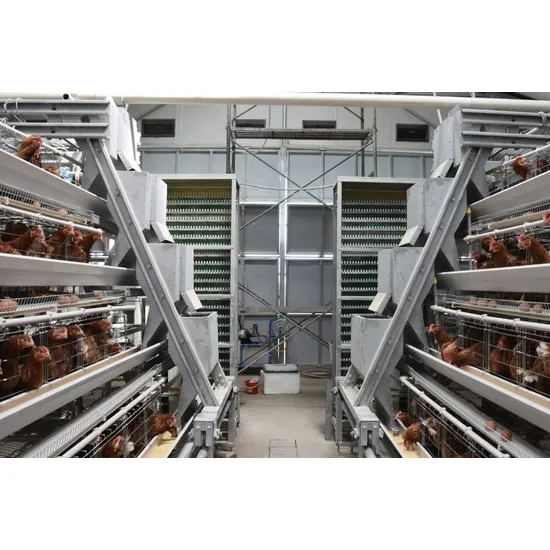 Good Price Automatic Poultry Farm Equipment Chicken Battery Cage