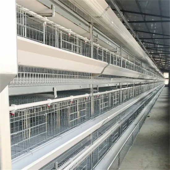 Fully Automatic Galvanized Poultry Equipment Farm Battery Chicken Cage