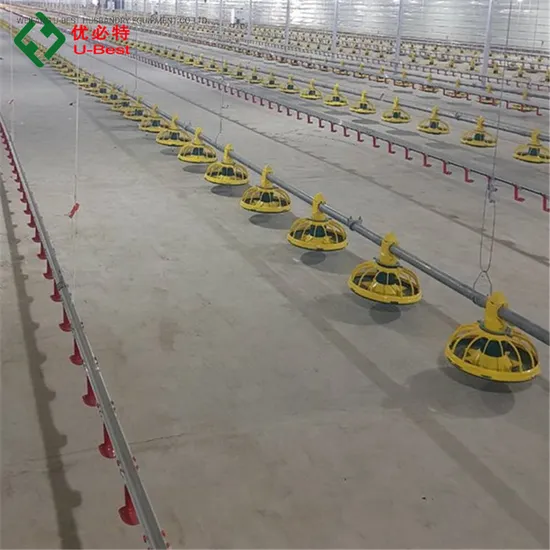 New Modern Poultry House Chicken Feeding System