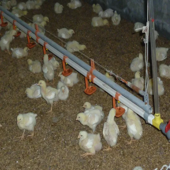 High Quality Automatic Chicken Feeder Houses for Sale in Kenya