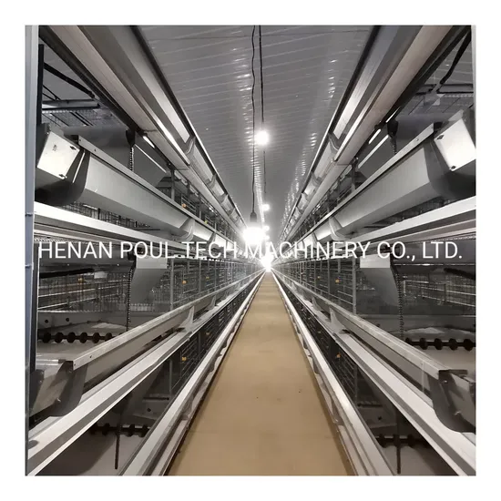 Layer Cage System for Chicken Battery Chicken Cage Hens Egg Cage for Sale