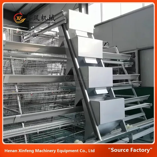 Animal Poultry Husbandry Equipment Stainless Steel Chicken Layer Cages 1000 Birds Cage
