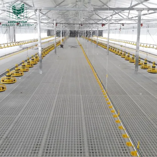 Hightop Full Automatic Poultry Farm Broiler Feeding System For Philippines