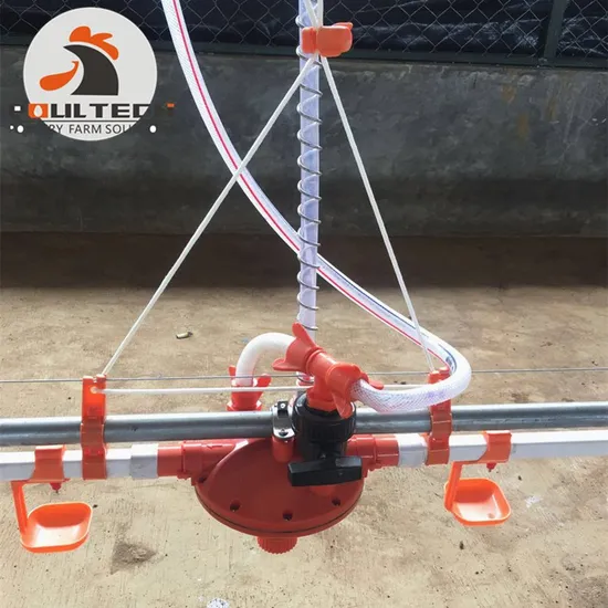 Broiler Chicken Flooring Raising System for Poultry Farm