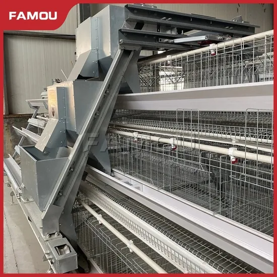 Famou Poultry Farming Equipment Easy to Operate Ladder Type Poultry Farm Feeding System