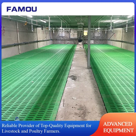 Innovative Pig Housing with Longer Plastic Slatted Flooring for Durable and Easy Operation