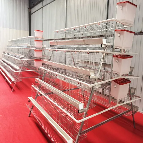 Egg Layer Chicken Cages for 2000 Birds Poultry Farm Construction for Sale