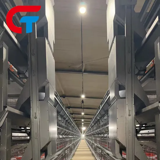 Modern Farming New Design Chicken Cage Equipment Poultry Automatic Feeding System