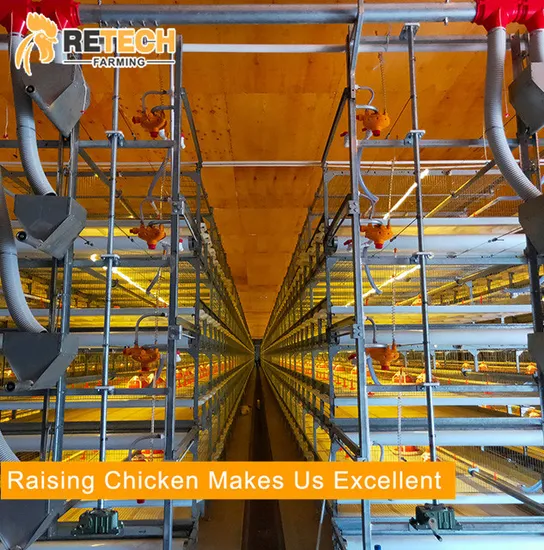 H Type 3 Tiers Broiler Rearing Cage Chicken Farm Equipment