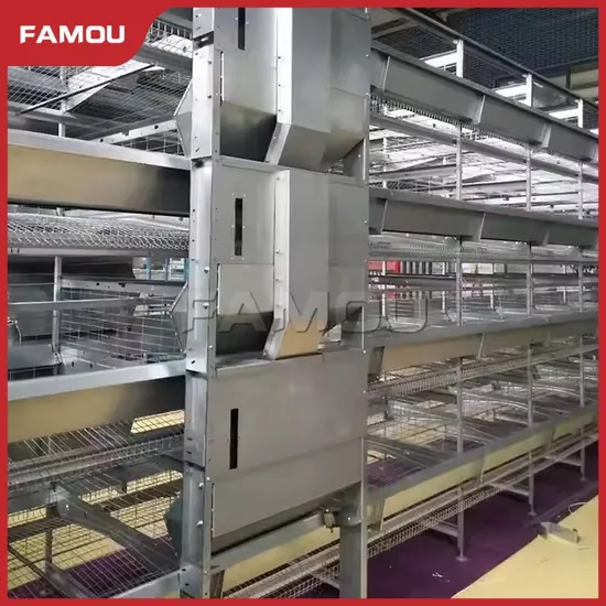 Famou Galvanized Livestock Farming Equipment Timed and Quantitative H Type Automatic Auger Poultry Feeding System